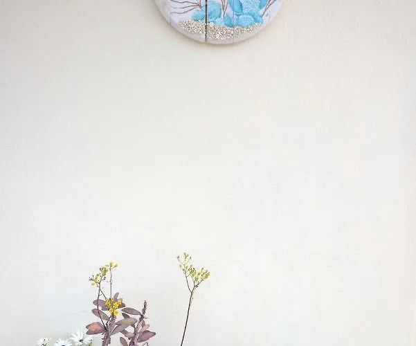 Ritsa House Agia Efimia