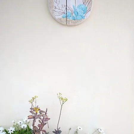 Ritsa House Agia Efimia